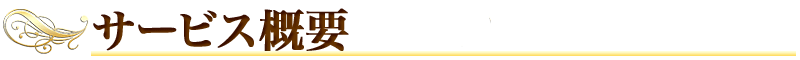 サービス概要
